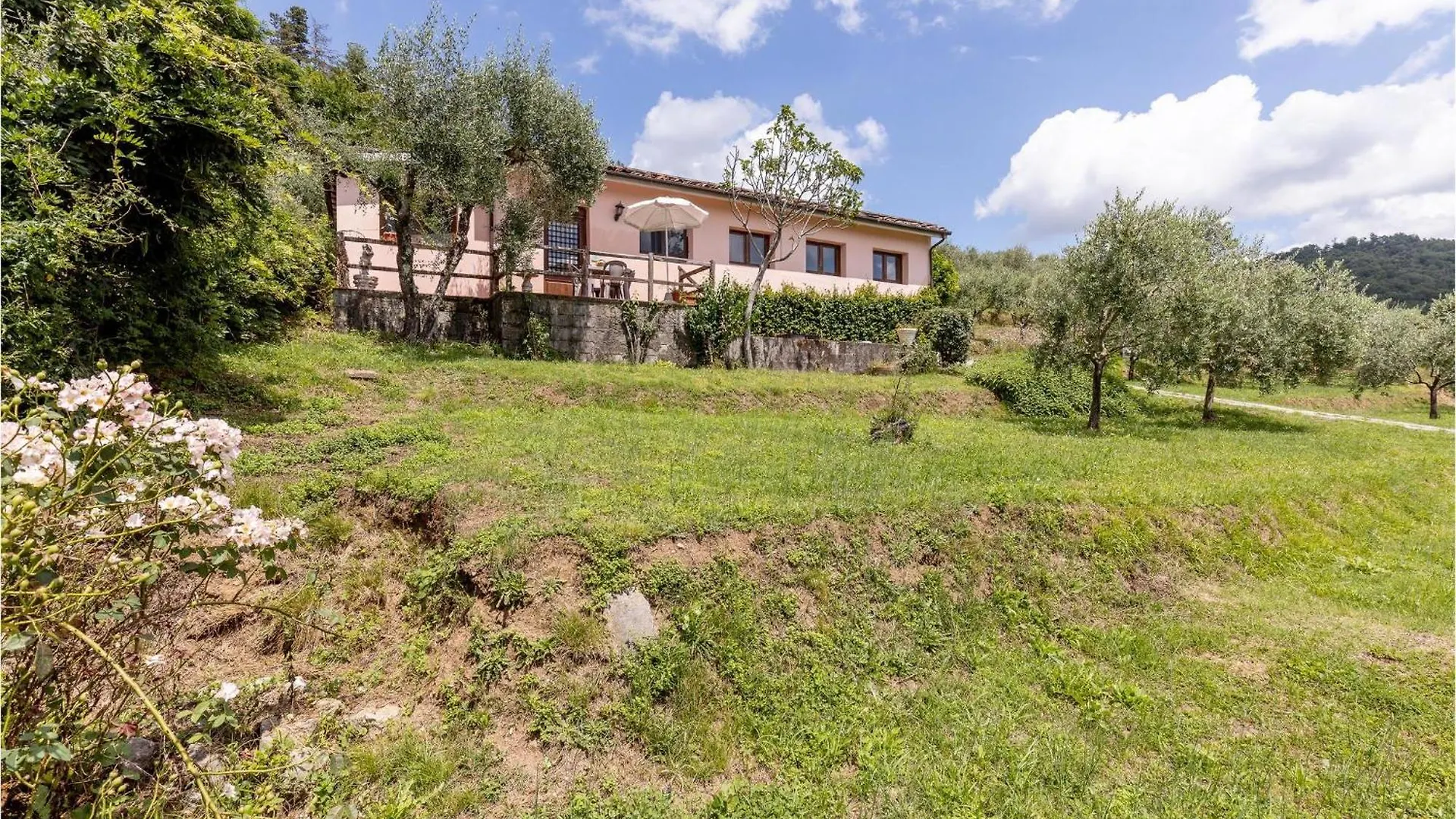 Villa Bianca Gello  Gello (Lucca)